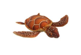 Obrázek z Želva mořská hnědá plyš 32cm 